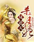 Phoenix Against the Heavens: The Killer Consort cover