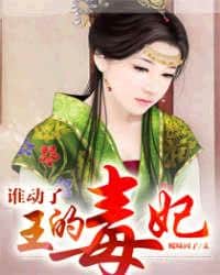 Who Touched the King's Poisonous Consort cover