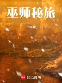 Wizard's Secret Journey cover