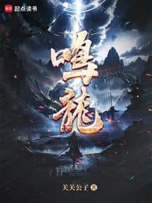 Minglong cover