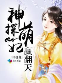 The Divine Detective Cute Consort Wins Everything cover