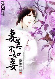 A beautiful wife is not as good as a concubine cover