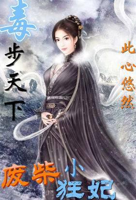 Poisonous Steps Under Heaven: The Useless Little Mad Concubine cover