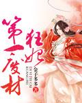 The First Useless Mad Consort cover