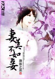 A beautiful wife is not as good as a concubine cover
