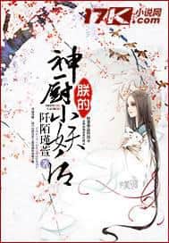 My Divine Chef Little Demon Empress cover