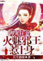 The Pampered Mad Wife: The Fire Charm Evil King Provokes Her cover