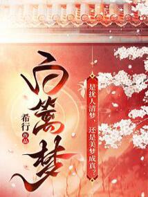 Bai Limeng cover