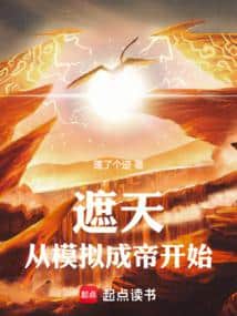 Shrouding the Heavens: Starting from Simulating the Emperor cover