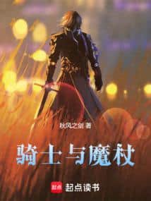 The Knight and the Wand cover