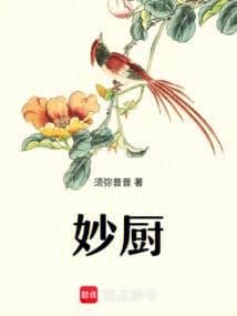 Wonderful Chef cover